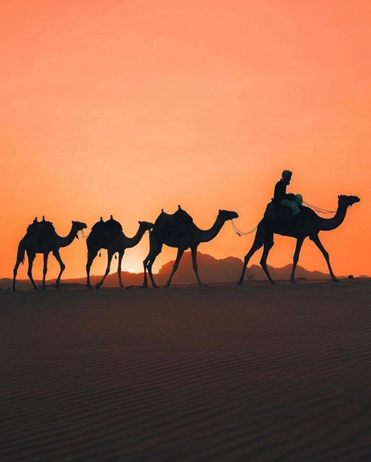 Rum Joharh Luxury Camp Wadi Rum Exteriér fotografie